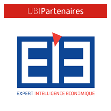 EIE Conseil - Expert Intelligence Économique